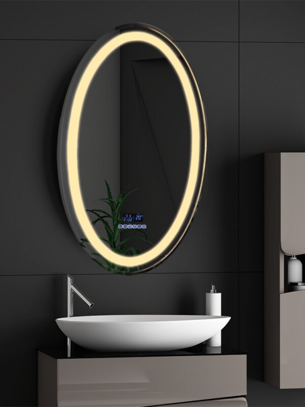 bathroom mirror 2 (11) oval mirror